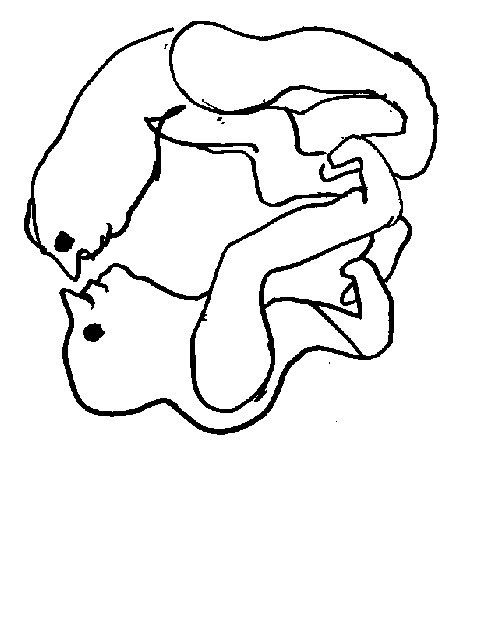 Caroline Bouissou, dessins au feutre sur papier (15x21cm) 2006